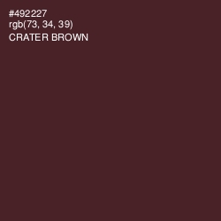#492227 - Crater Brown Color Image